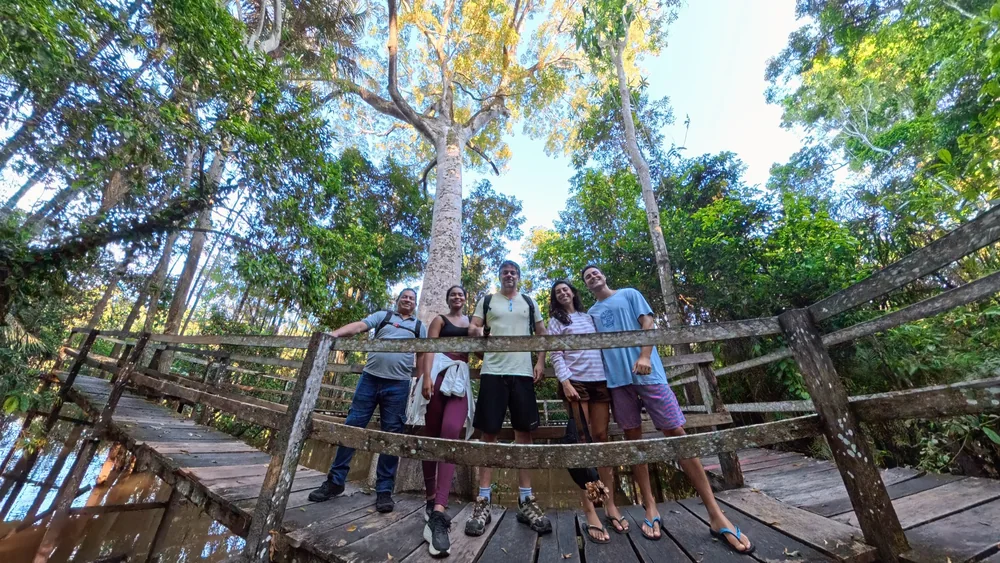 Grupo de visitantes em passarela de madeira na floresta