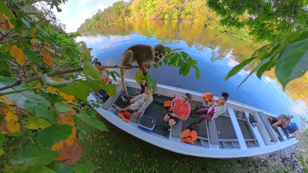 Macaco observado em seu habitat durante passeio de canoa